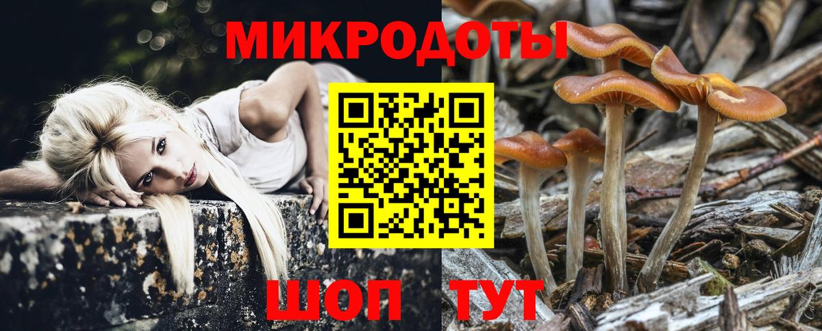 как найти закладки  Вход с VPN  Ефремов  Галлюциногенные грибы мухоморы 